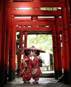 Torii zwarte Porn