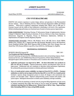 cto resume or chief technical officer resume can be considered as