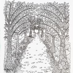 A Magical Tree Lined Walkway From The Color Me Calm Adult Colouring Book By Lacy Mucklow