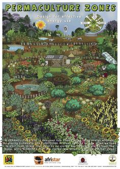 What is permaculture pdf