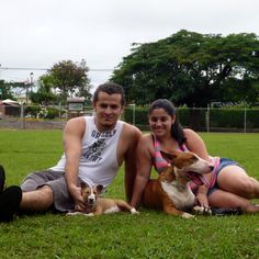 9 Bully Max Joint Supplements For Dogs ideas | joint supplements for