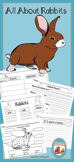 about rabbit article just for kids about bunnie composition just for kids