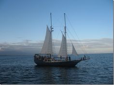 50+ Best Gaff-rigged Sailboat Plans images in 2020 