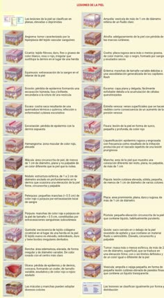 Primary and Secondary Lesions | nursing | Nursing assessment, Nursing