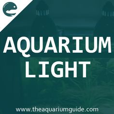 32 best aquarium light