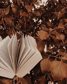 aesthetic brown beige rustic leaves autumn instagram colors backgrounds pink wallpapers september idei minte din afkomstig