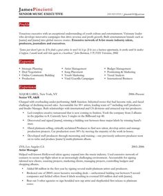 11 best executive resume samples images free resume samples top executive resumes
