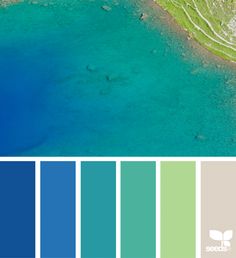 159 Best Green Color Palette Images In 2019 Paint Colors Paper Flora Colour Palletecolor Combinationsturquoise
