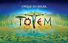 30 Ideas De Temática Circo Del Sol Circo Del Sol Circo Cirque Du Soleil