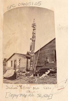 358 best alaska native