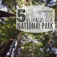 129 Best Bay Area Northern California Nature Attractions Day 5 Awesome Activities To Do With Kids At A National Park Square Travel