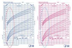 Standard Height and Weight Chart for Babies | Baby weight chart, Weight