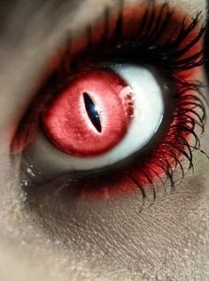 65 best eyes images