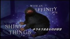 二フラー のアイデア 10 件 ファンタビ ニフラー ビースト 二フラー のアイデア 10 件 ファンタビ ニフラー ビースト
