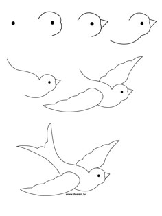 How to Draw a Bird Step by Step Easy