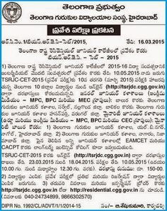 formal language essay national national