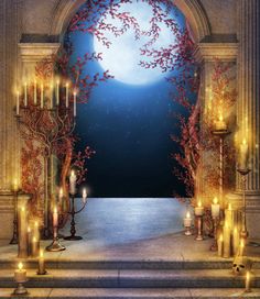 SW0341 Backdrop//Background Photography For 16/" AOD BJD Doll similiar size Doll