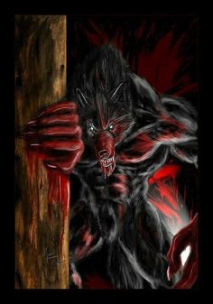 Best werewolf romance books 2019