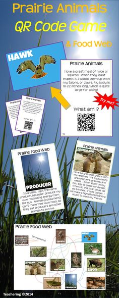 50 best food chains images on pinterest science classroom science prairie ecosystem task cards with qr codes food web activity hands on