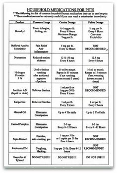 Acceptable Household Medications For Pets Vet Tech Medication A Helpful Dosage Chart For Over The Counter Meds Your Pet In Pinch