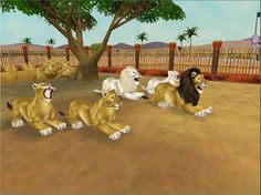 zoo tycoon 2 mac 10.7