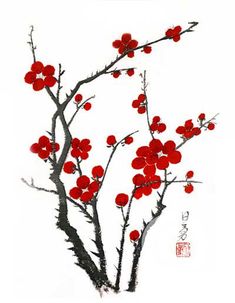 101 best japanese chinese cherry and plum blossoms sakura