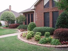 store, trees TX trims and Coppell