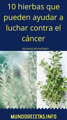 12 Ideas De Remedios Naturales Contra El Cáncer Remedios Naturales Remedios Plantas Medicinales
