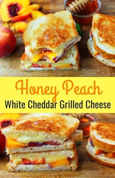 48 Grilled Cheese Recipes You and Your Kids Must Try Out