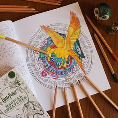 Try Out The New Harry Potter Colouring Books