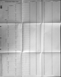 long genealogy chart with photos interesting website to purchase