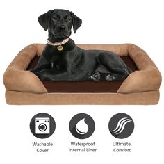 Orthopedic Memory Foam Dog Bed w// removable cover /& waterproof blanket 2-in-1