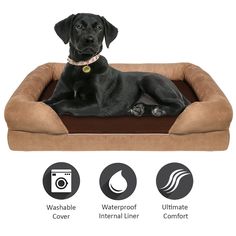 xxl dog beds dog beds dog collars dog toys cat beds dog clothes pet carrier dog carrier large dog beds dog accessories pet beds pet stroller dog supplies dog blankets luxury dog beds extra large dog beds raised dog bed indestructible dog bed dog sofa dog couch dog beds uk puppy beds memory foam dog bed orthopedic dog bed best dog beds cheap dog beds pet crate pet toys chew proof dog bed costco dog bed elevated dog bed heated dog beds outdoor dog bed waterproof dog bed Cute Dog Toys, Best Dog Toys, Best Dogs, Tough Dog Beds