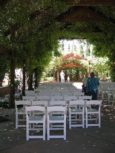 43 Best Albuquerque Weddings Images On Pinterest Wedding Pictures Abq Botanical Garden