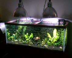 11 best aquarium redox