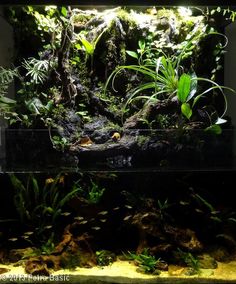 260 best aqua terra