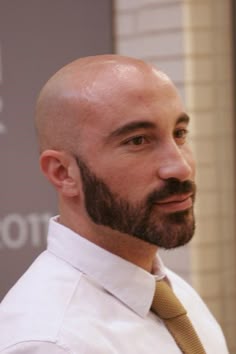 292 best bearded and