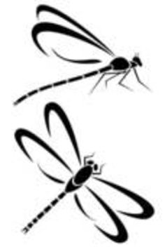 11 best dragonfly clipart