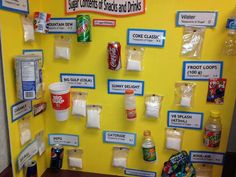 35 best science project images science classroom school school science projekts