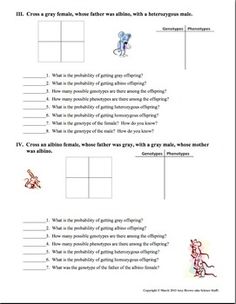 Graphing and Data Analysis Worksheet FREE TpT FREE