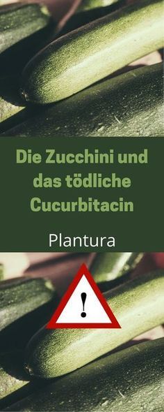 63 best garten images on Pinterest Autumn, Decks and Garden - gartenplanung software kostenlos deutsch 63 best garten images on Pinterest Autumn, Decks and Garden - gartenplanung software kostenlos deutsch