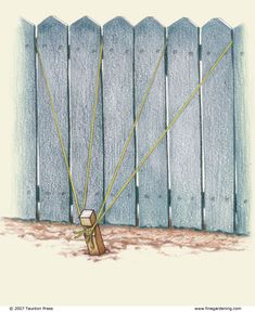 110 Garden Trellis Ideas Trellis Garden Garden Trellis