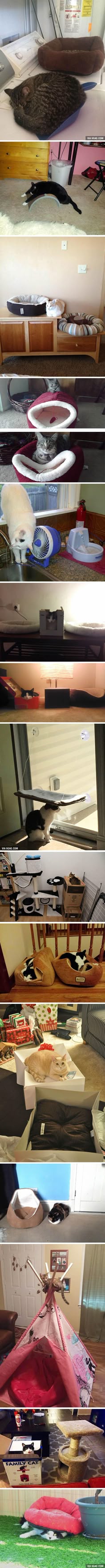How To Make My Cats Fatter How To Make My Cats Fatter