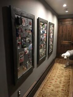 162 best magnet board ideas organizing images on pinterest in 2018