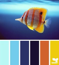 fun spring color scheme - want more ideas for your custom home fun spring color scheme - want more ideas for your custom home