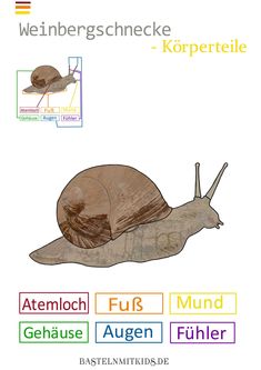 Ihr kind kennenlernen