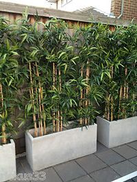 Amenagement Bois Bambou Planter Pour Decor Amenagement Bois Bambou Planter Pour Decor
