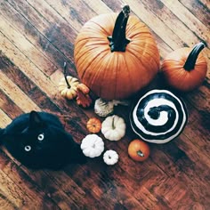 Fallen Leaves Pumpkin Pies And Cozy Weather Photo