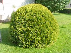 Rotary Botanical Gardens Hort Blog