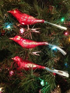 3 atq red shiny brite clip on cardinal bird spun glass tail glass xmas ornaments - Vintage Shiny Brite Christmas Ornaments 3 atq red shiny brite clip on cardinal bird spun glass tail glass xmas ornaments - Vintage Shiny Brite Christmas Ornaments
